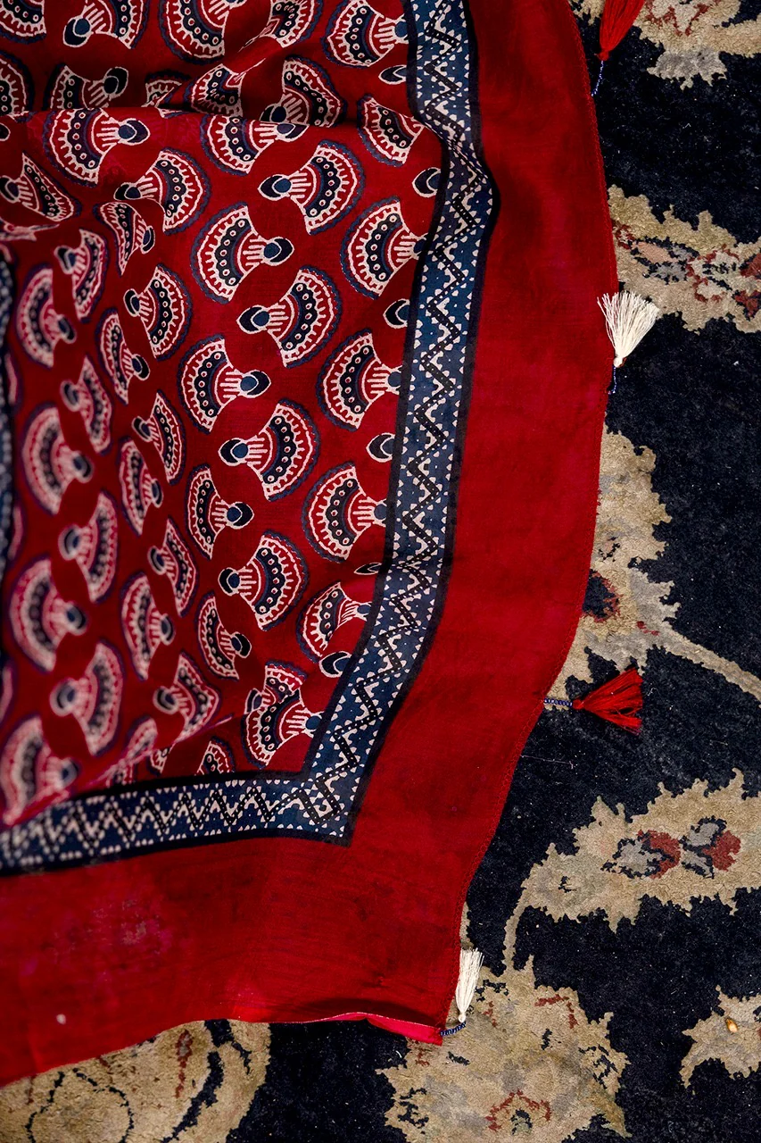 Noor Cotton Embroidered Straight Dupatta Set - Image 9